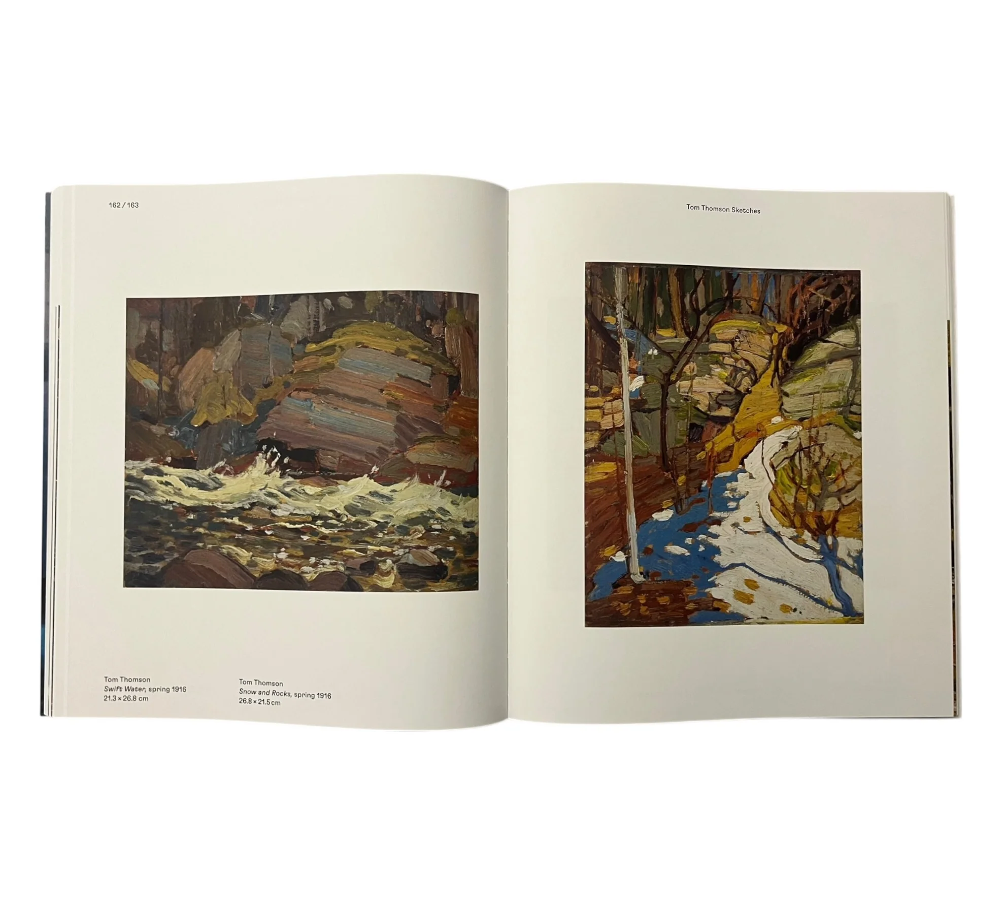 Magnetic North: Imagining Canada in Painting 1910-1940 - Image 17
