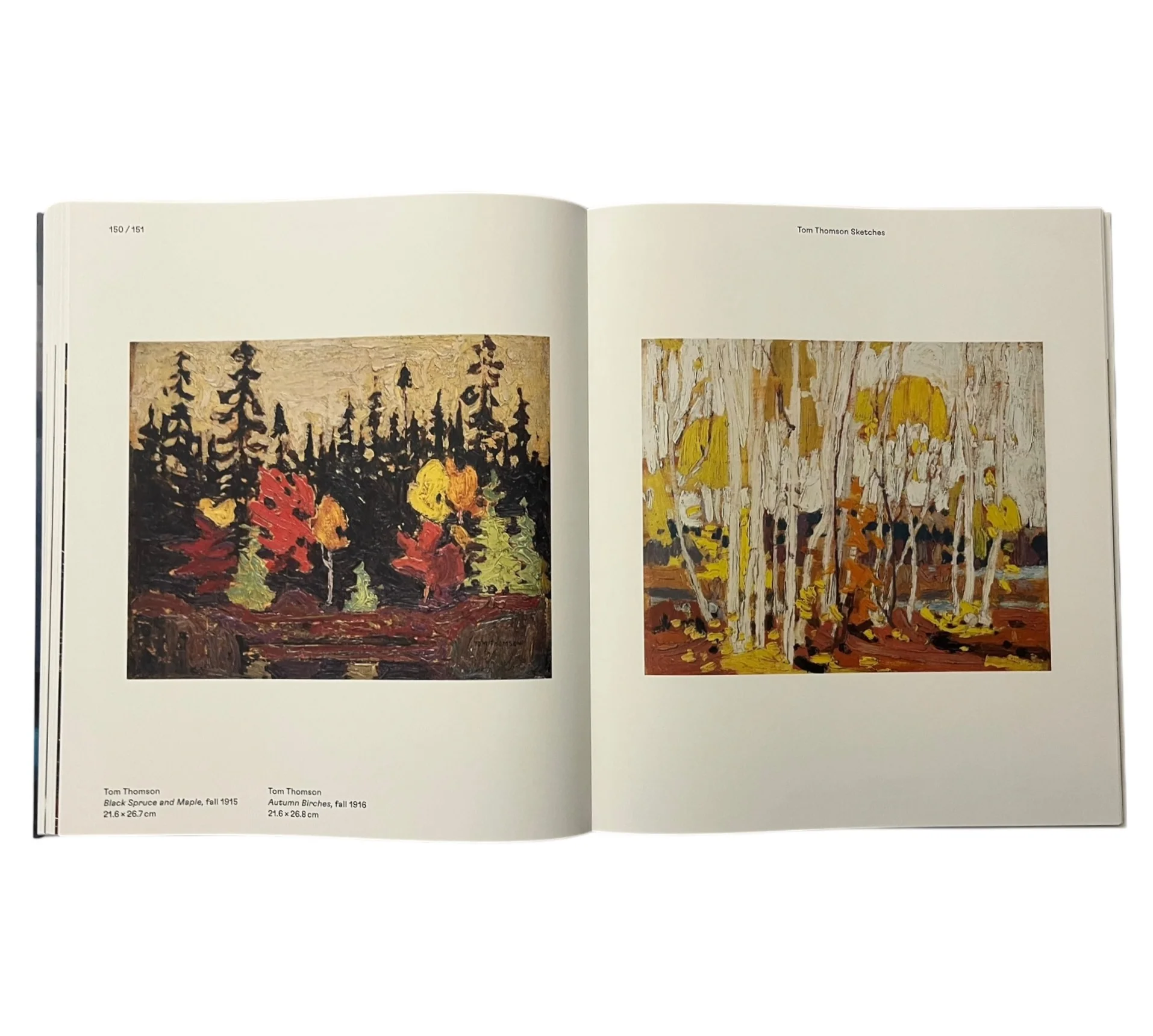 Magnetic North: Imagining Canada in Painting 1910-1940 - Image 3