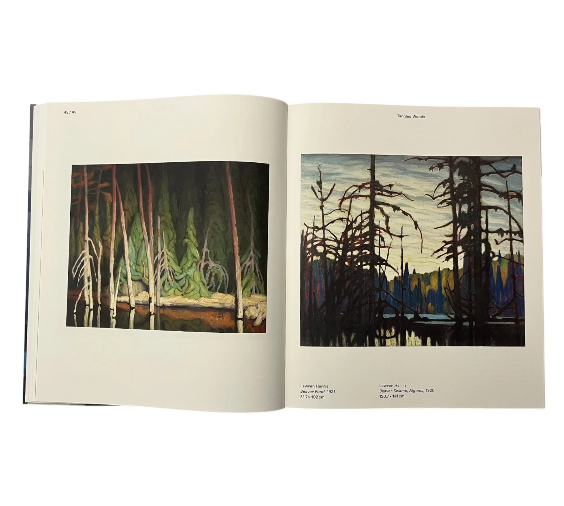 Magnetic North: Imagining Canada in Painting 1910-1940 - Image 5