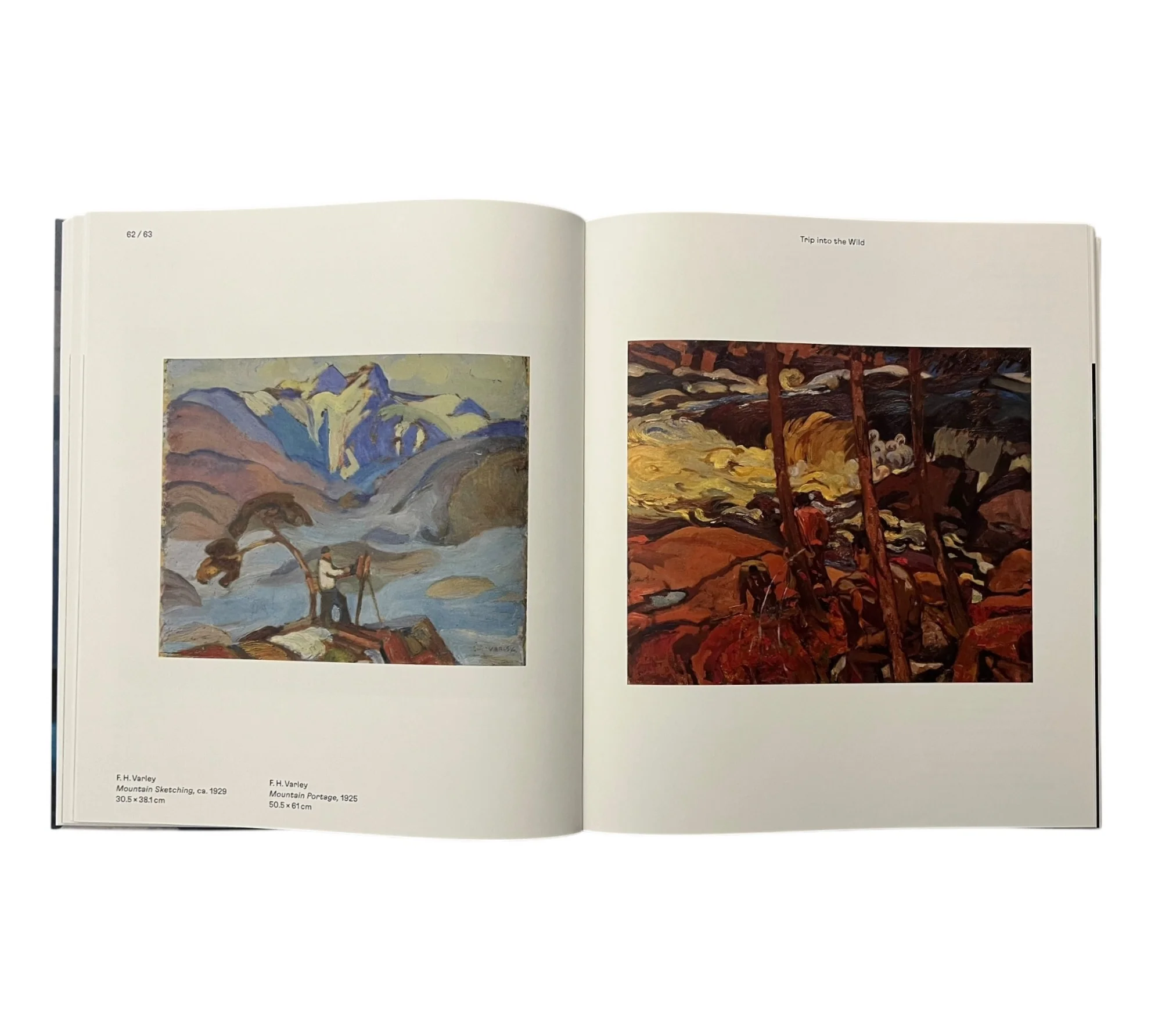 Magnetic North: Imagining Canada in Painting 1910-1940 - Image 6