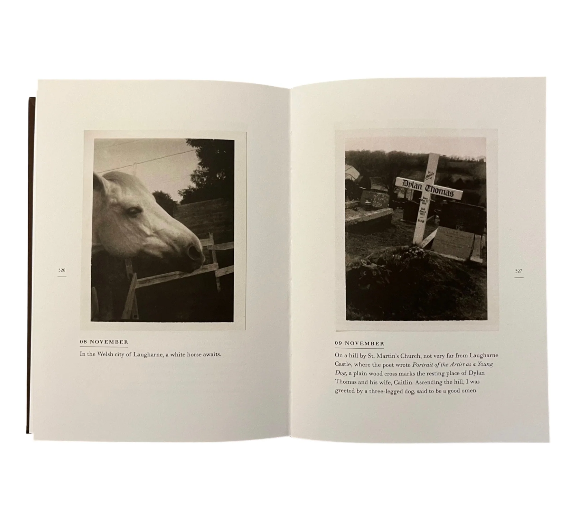 Patti Smith: A Book of Days - Image 5