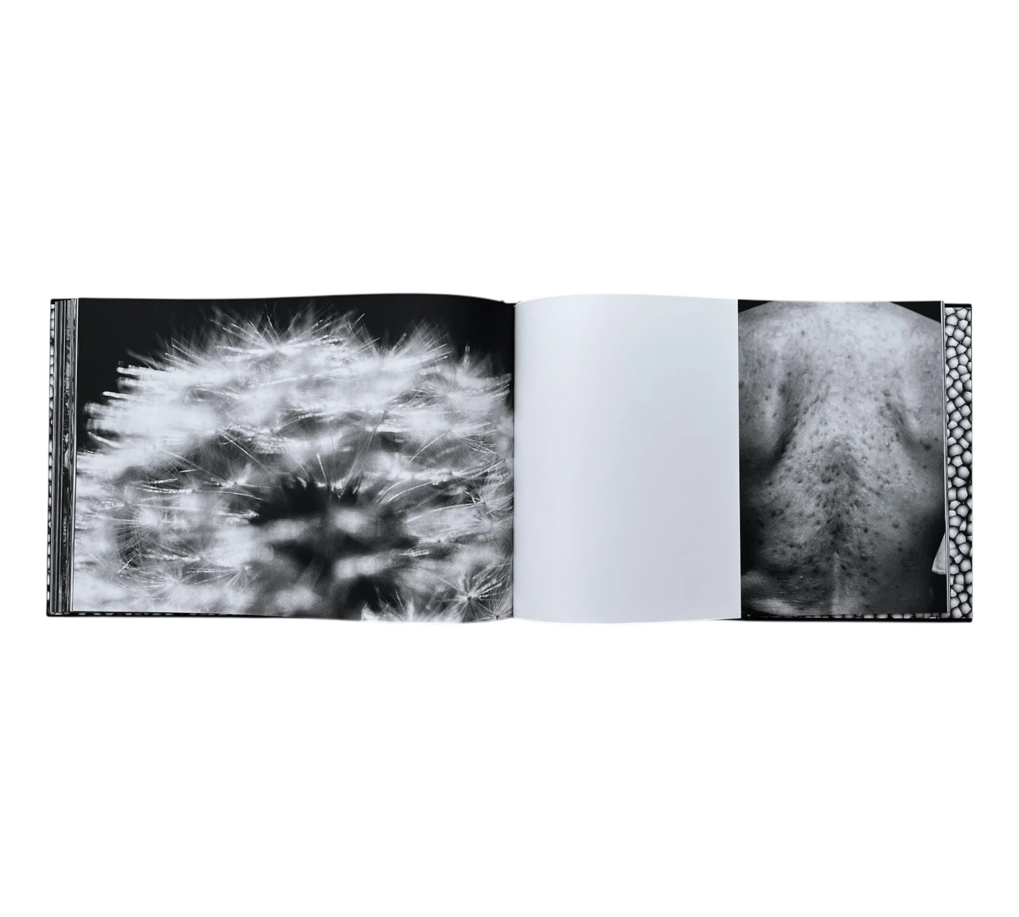 Ross Bleckner: Page Three - Image 10