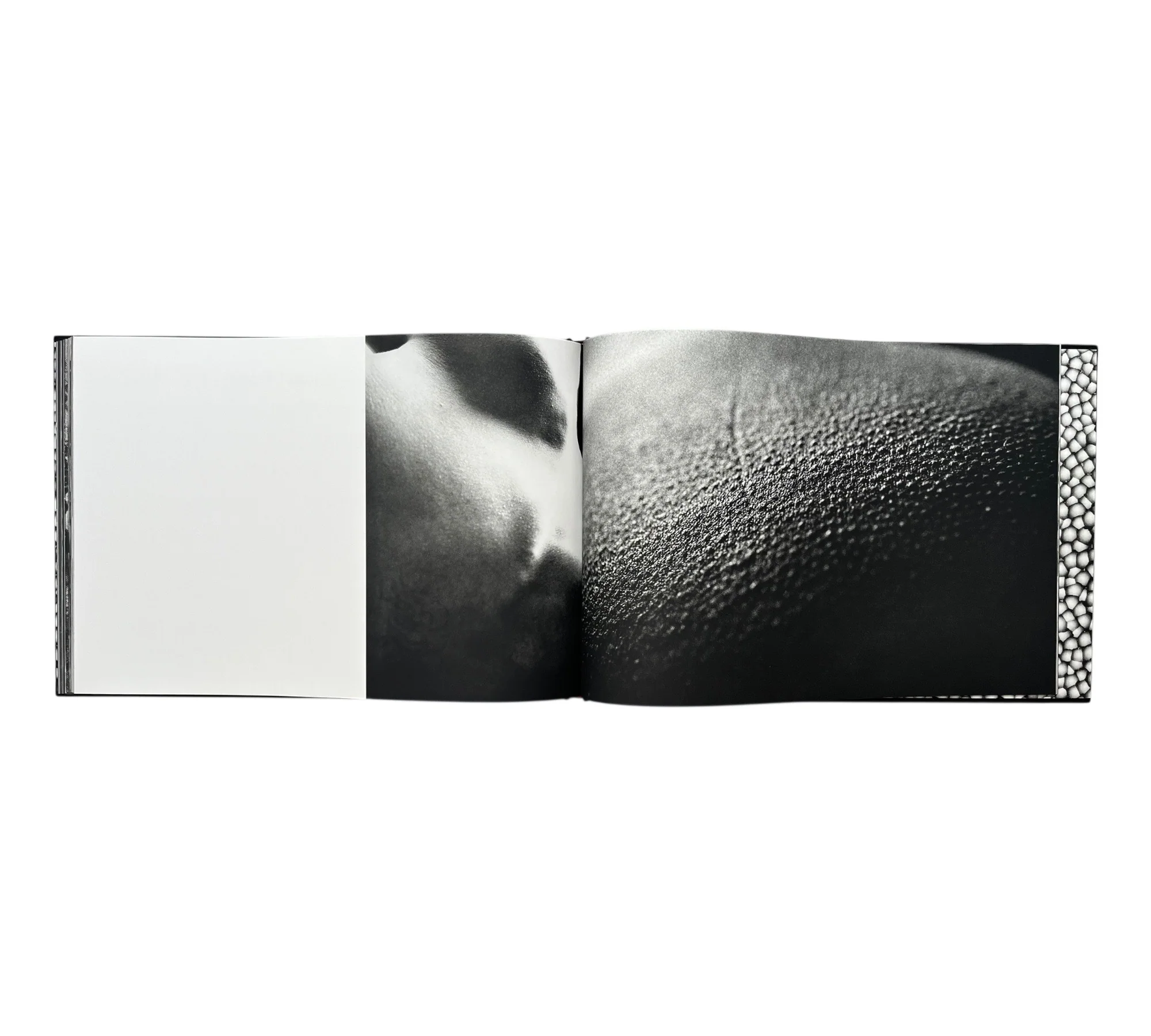 Ross Bleckner: Page Three - Image 11
