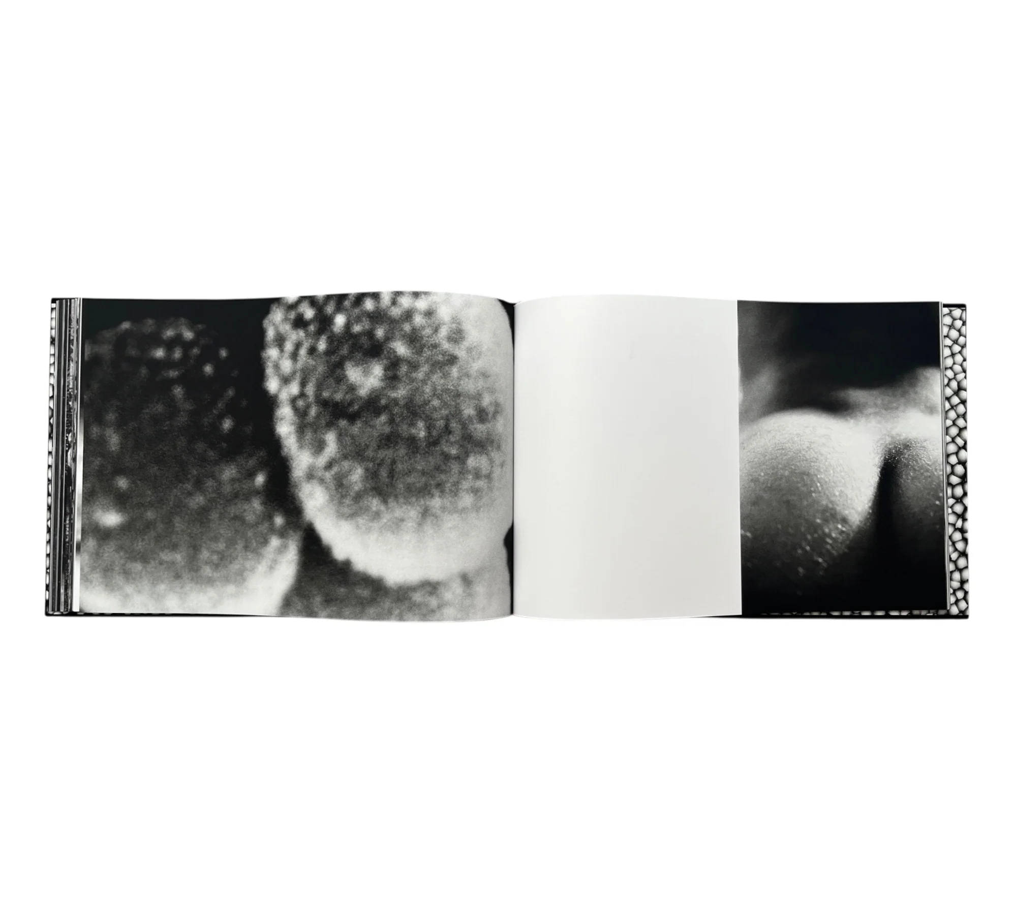 Ross Bleckner: Page Three - Image 3