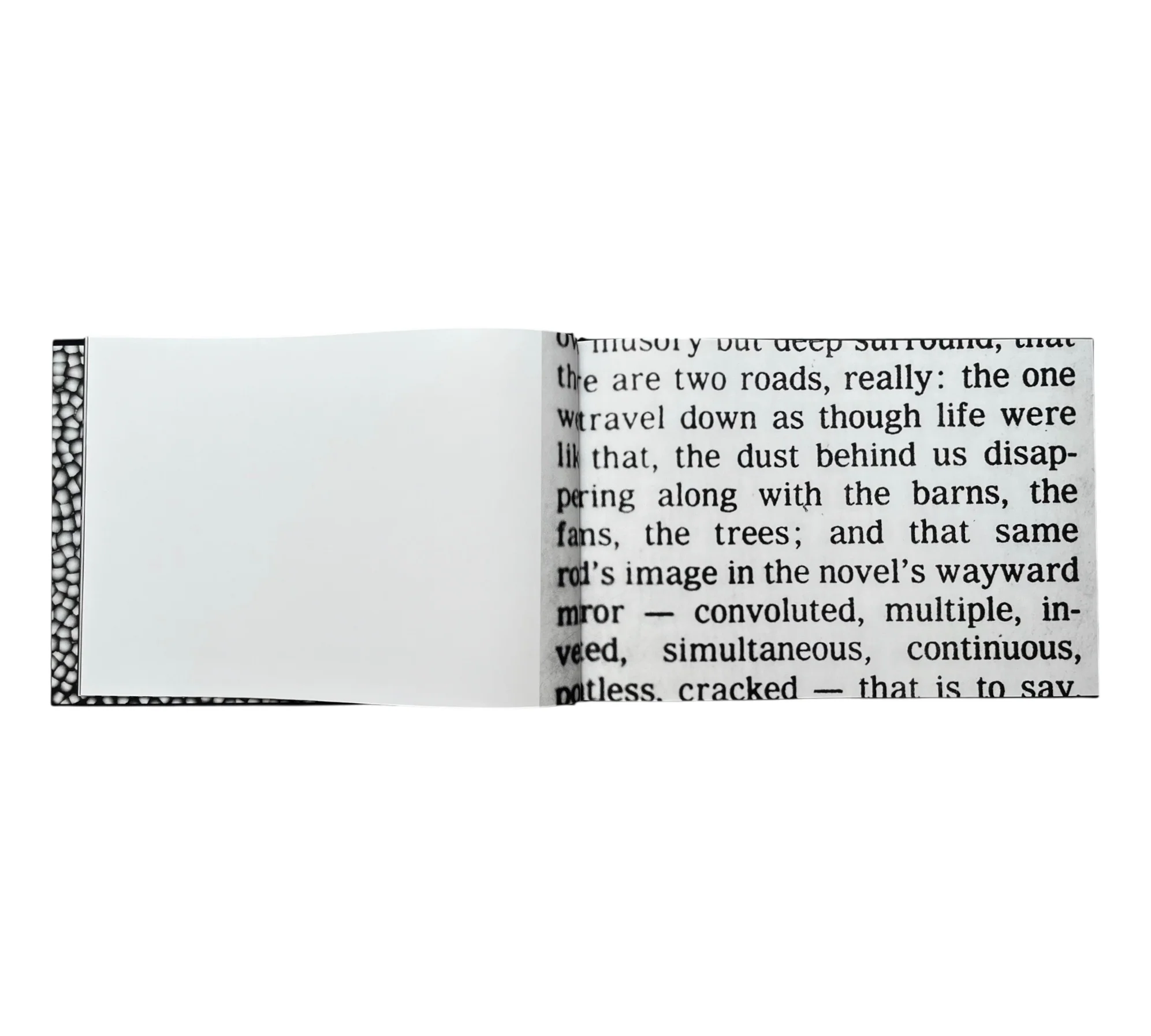Ross Bleckner: Page Three - Image 4