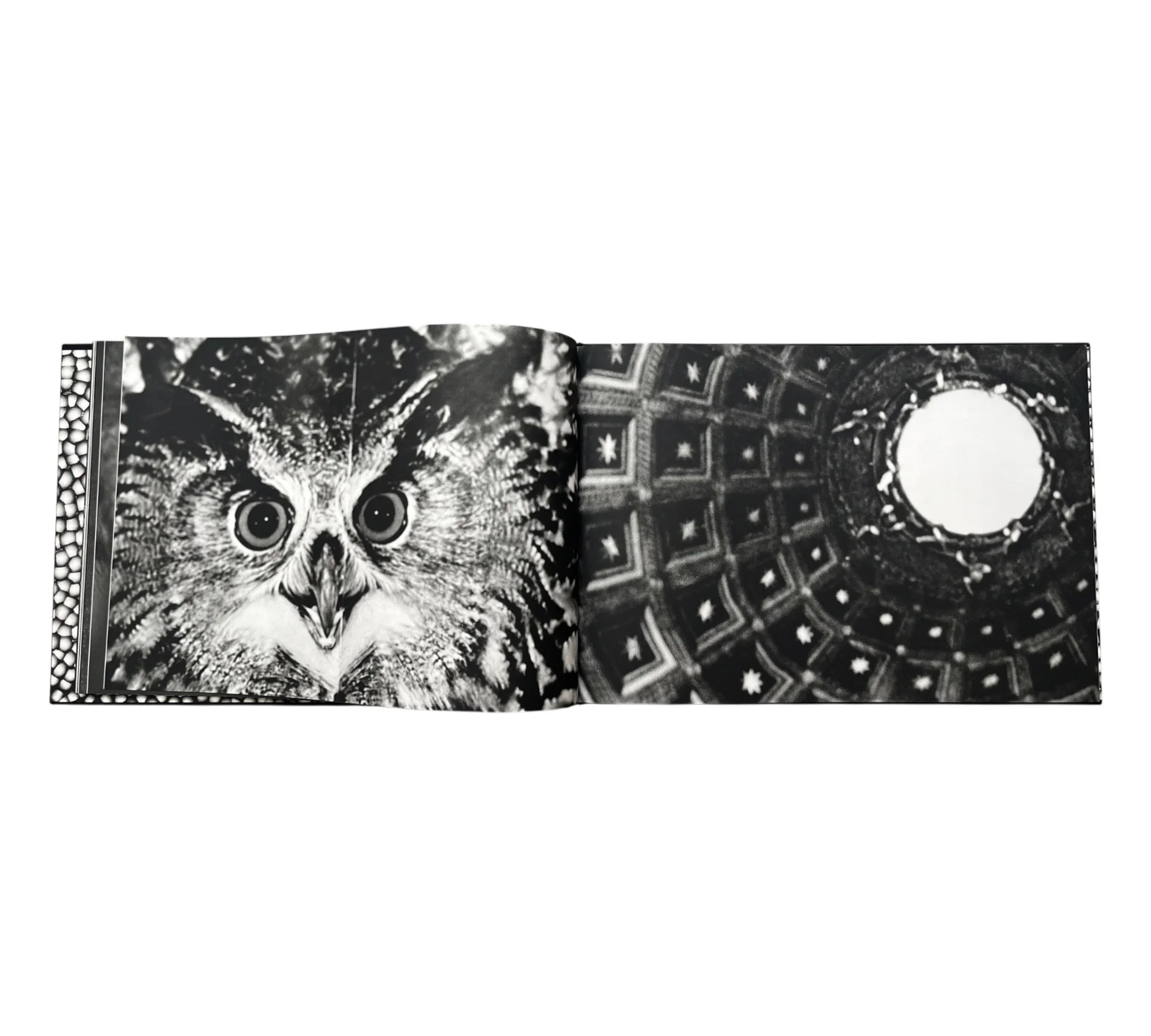 Ross Bleckner: Page Three - Image 7