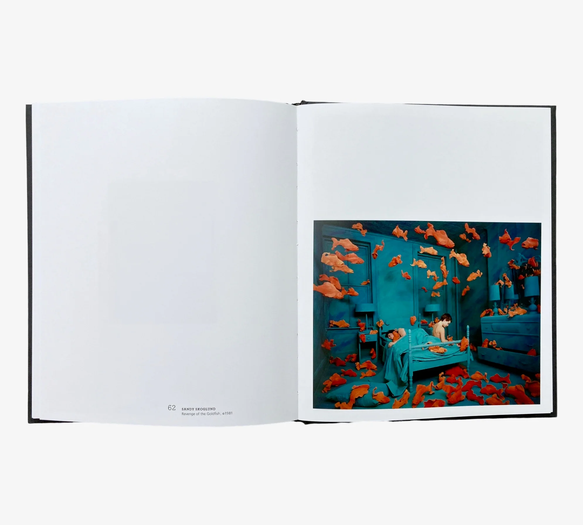 Photography as Fiction - Image 5