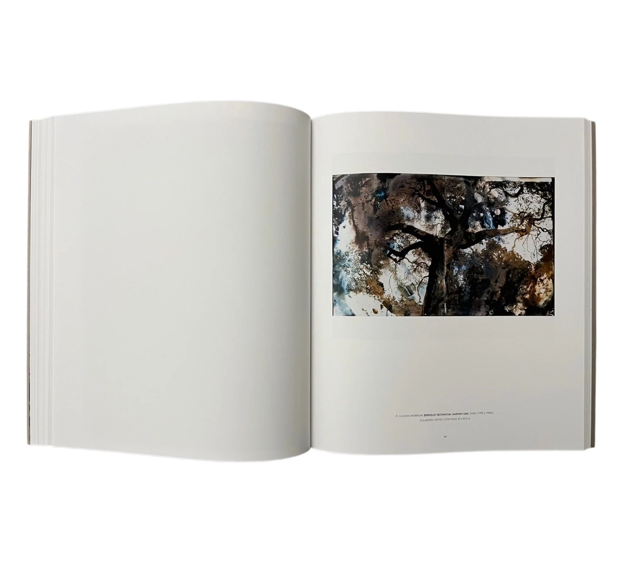 Poetics Of Light: Contemporary Pinhole Photography - Image 14