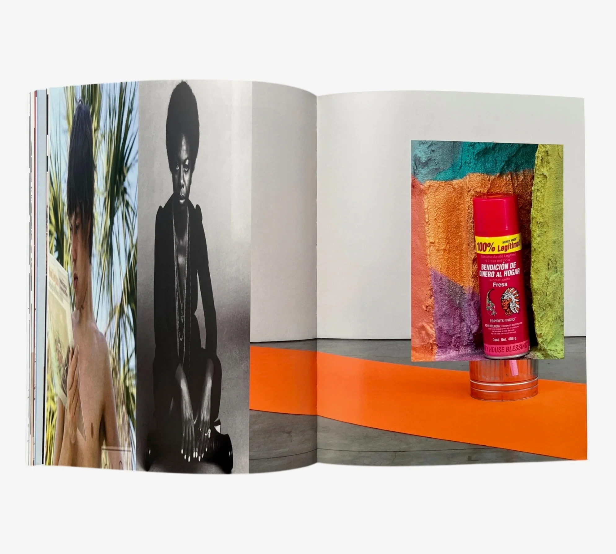 Rachel Harrison: G-L-O-R-I-A - Image 8