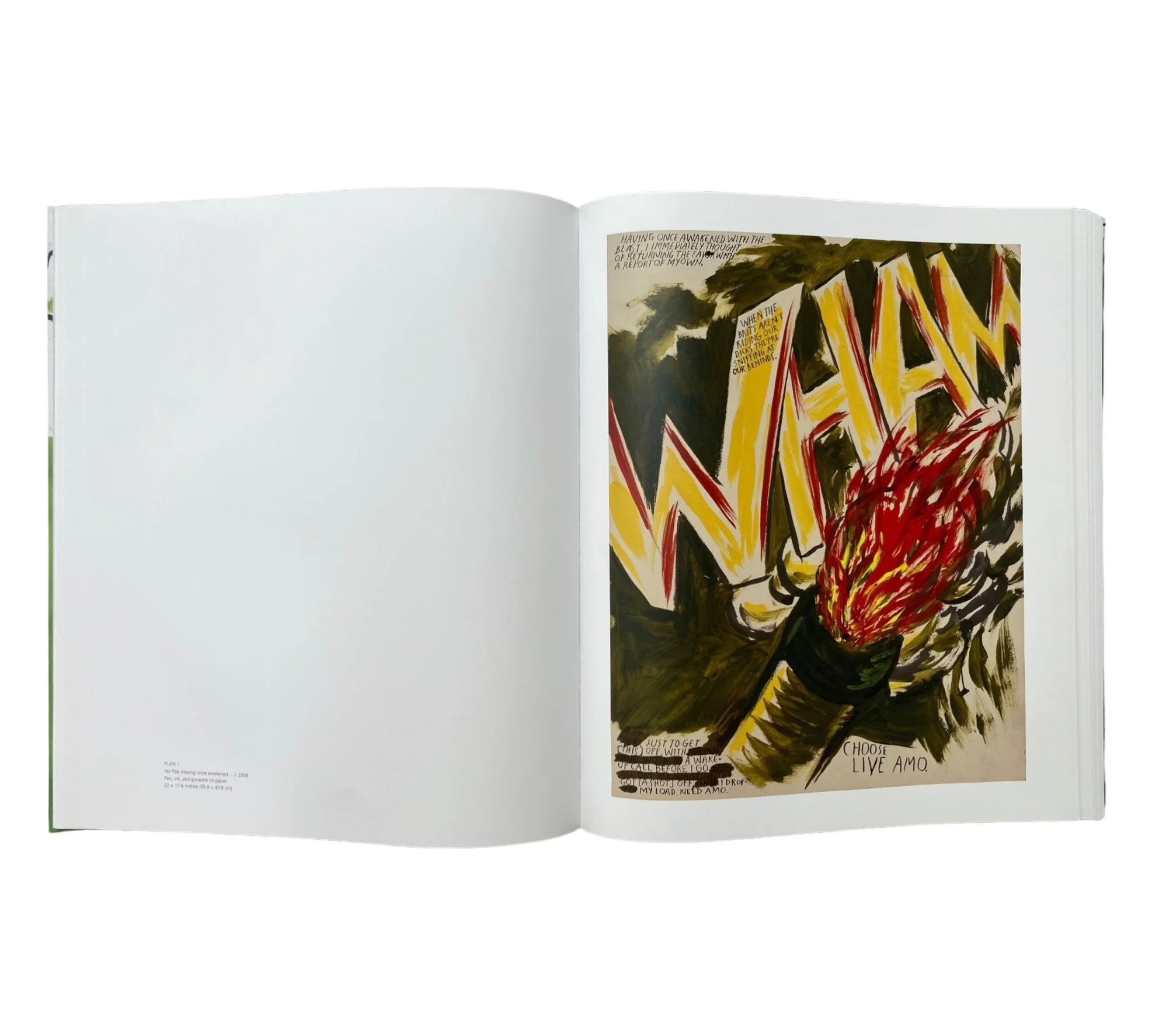 Raymond Pettibon: Political Works 1975-2013 - Image 7