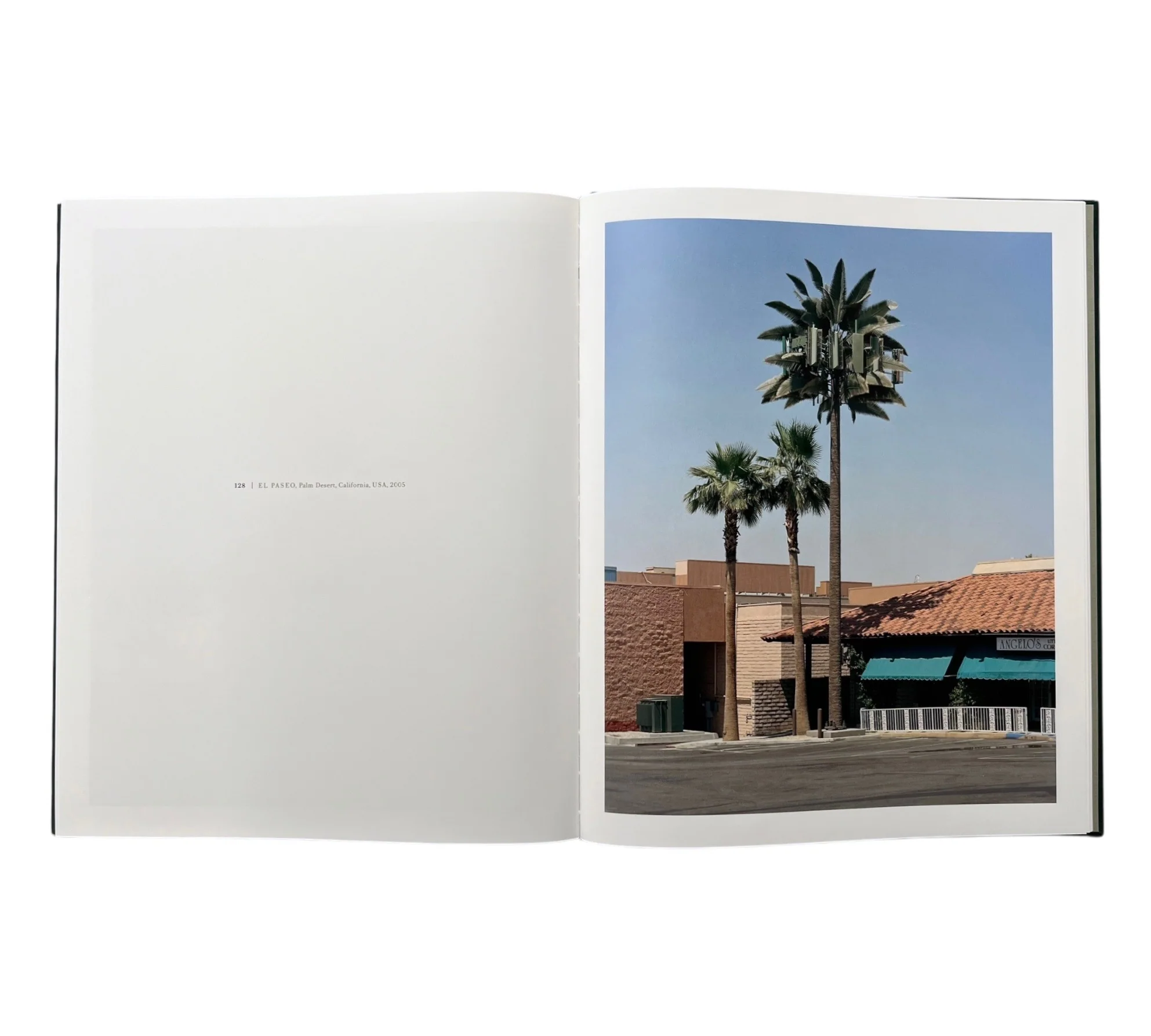 Robert Voit: New Trees - Image 3