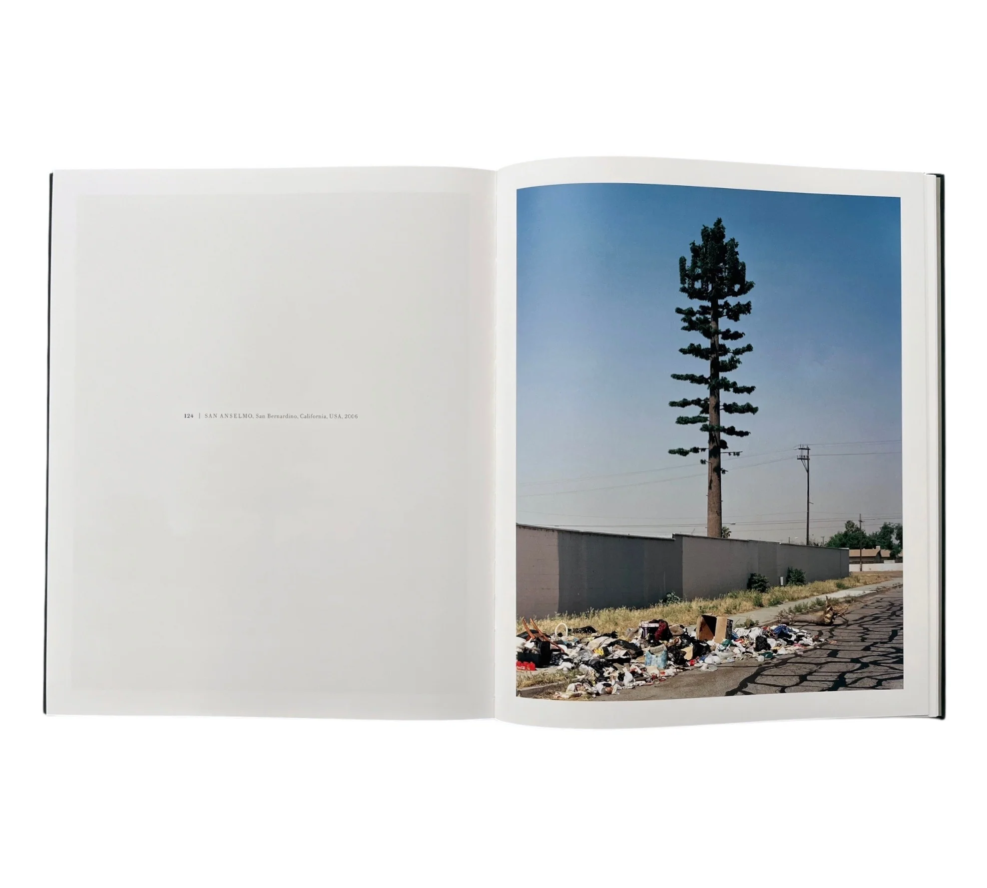 Robert Voit: New Trees - Image 4