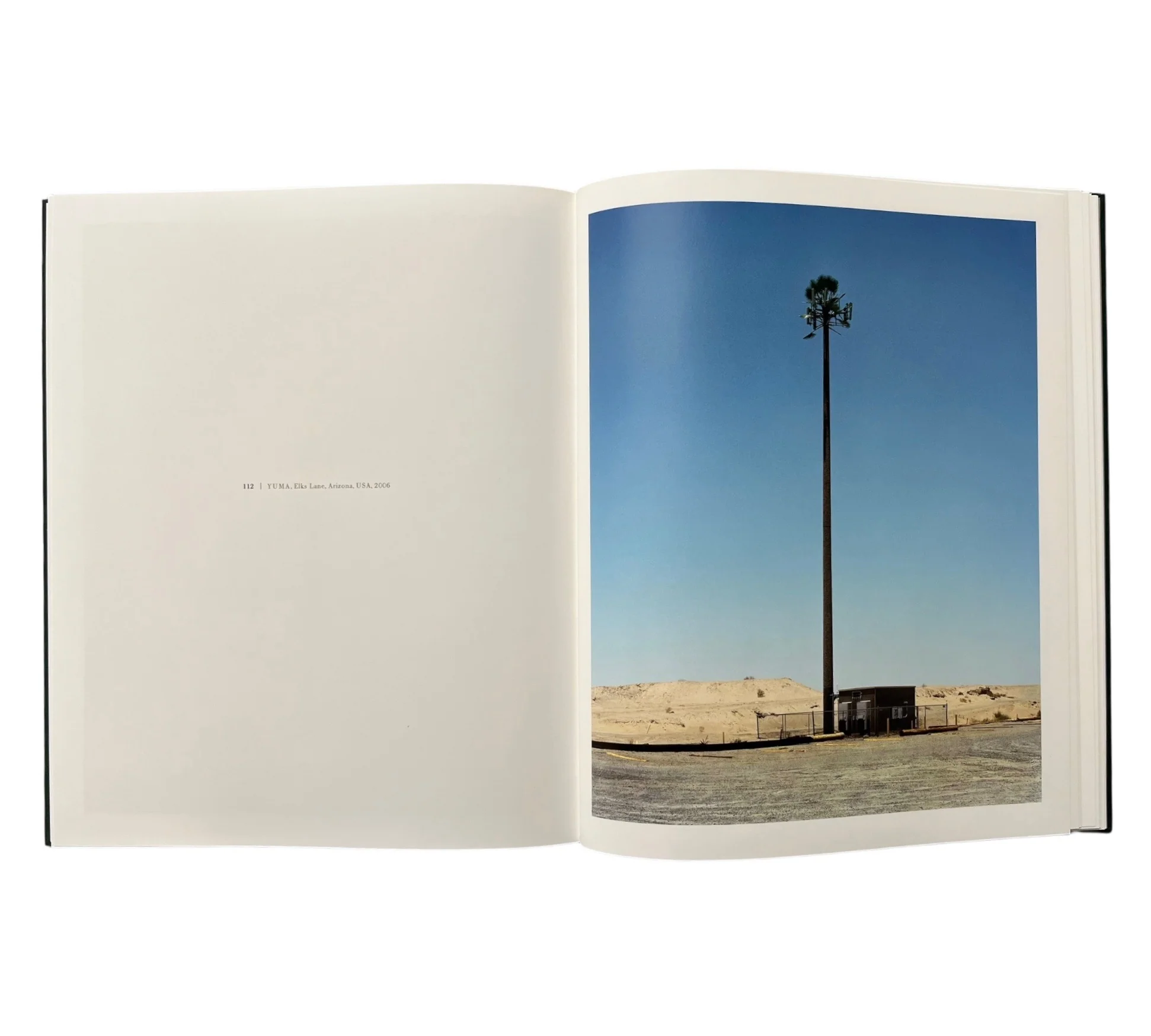 Robert Voit: New Trees - Image 6