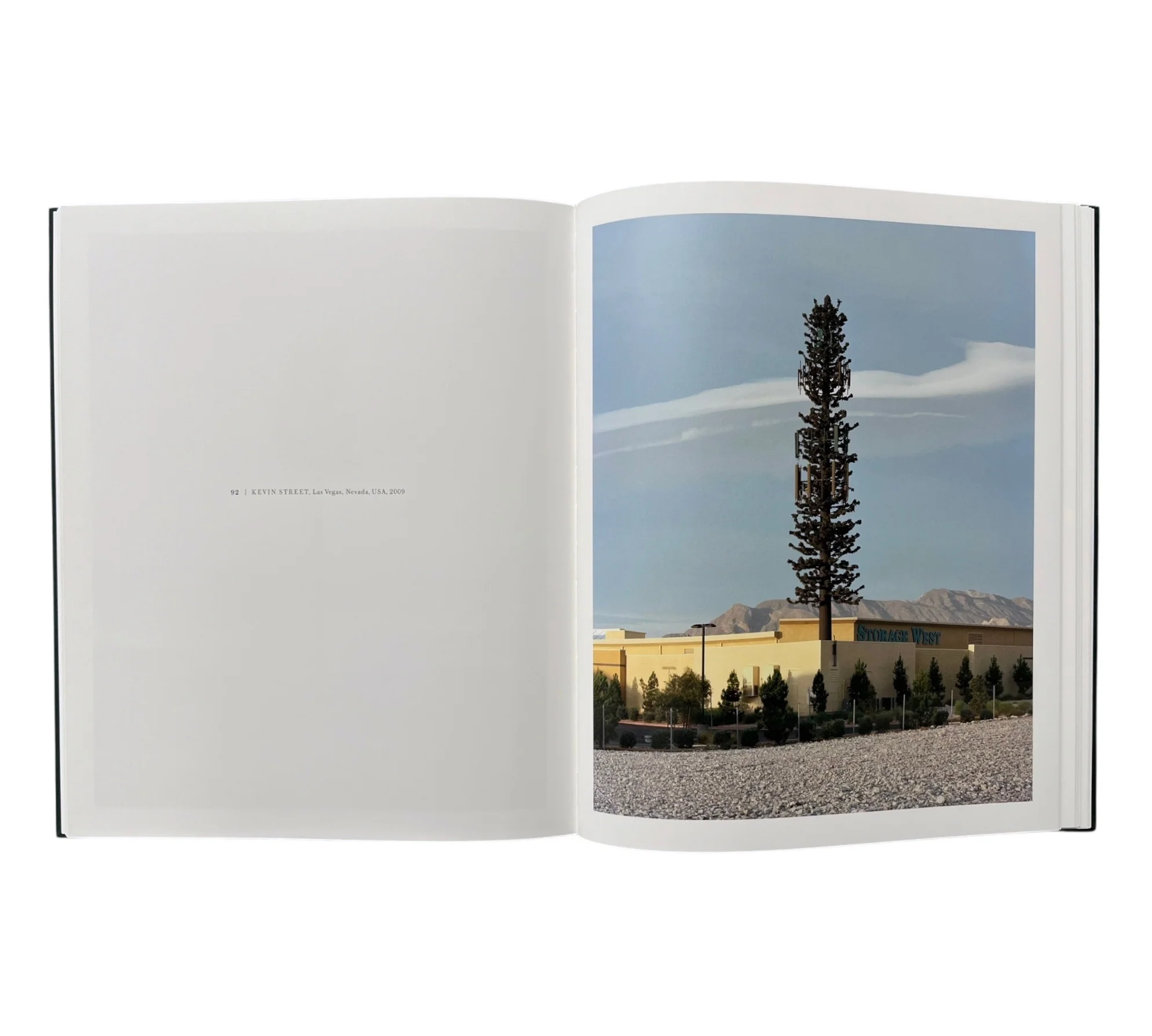 Robert Voit: New Trees - Image 7