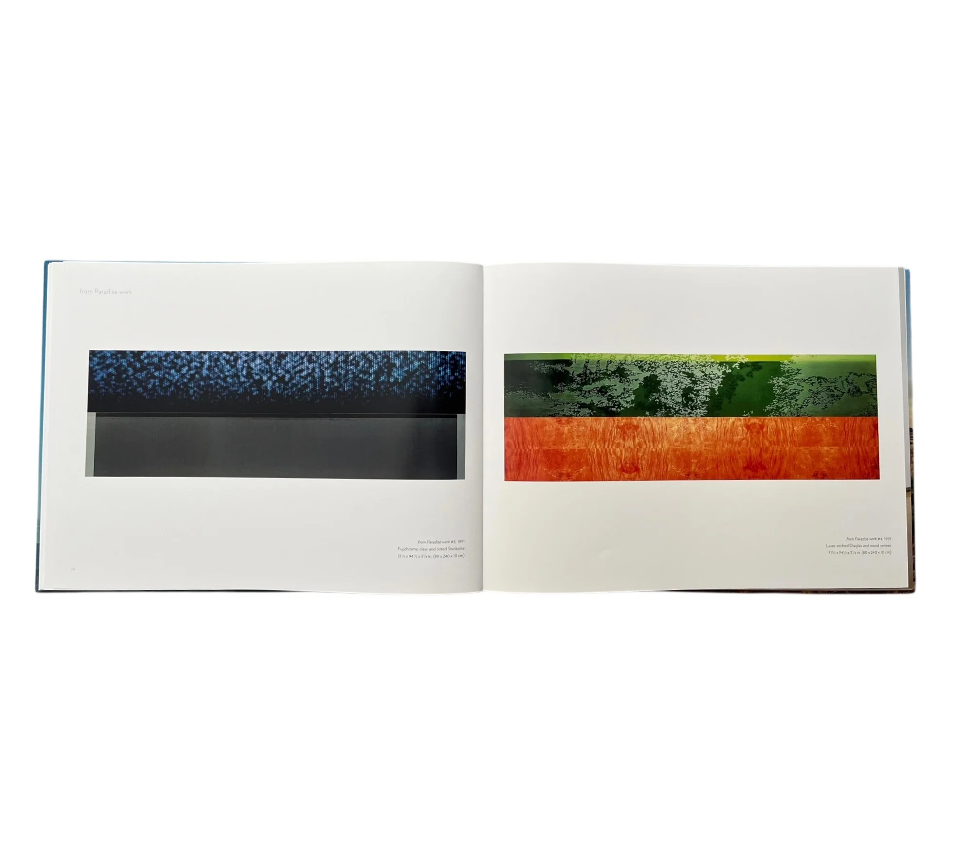 Rosemary Laing: Photographs - Image 5