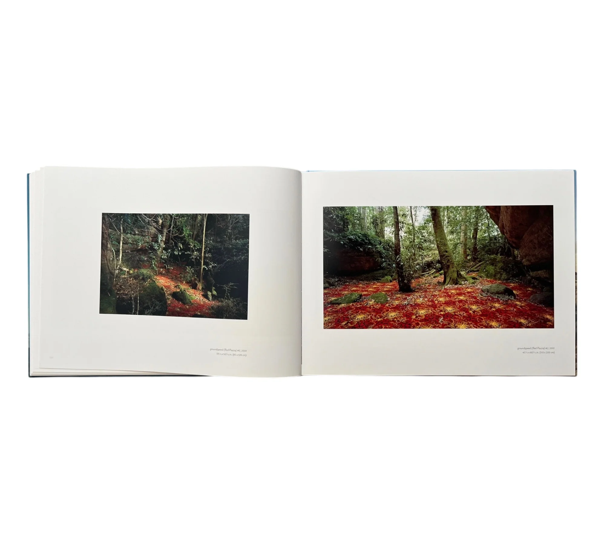 Rosemary Laing: Photographs - Image 6
