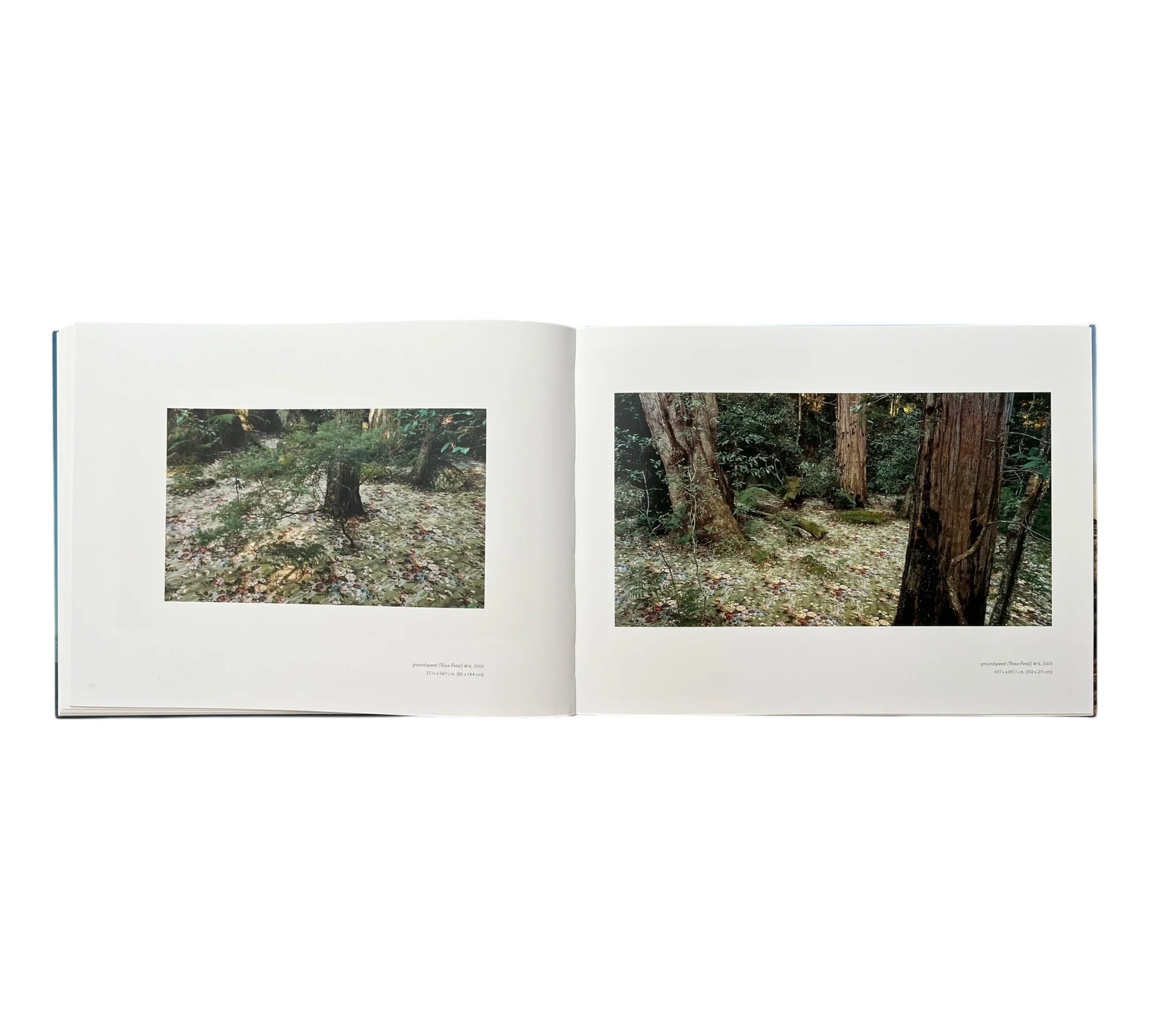 Rosemary Laing: Photographs - Image 7