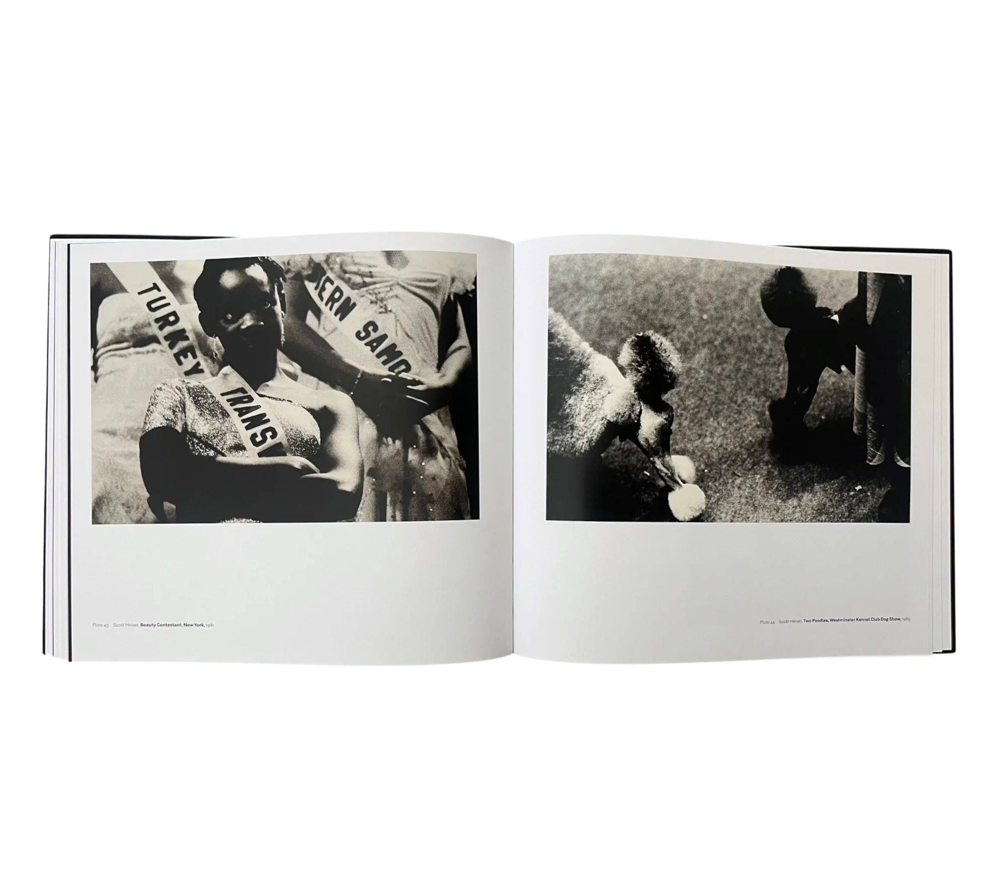 Scott Heiser: Fashion, Circus, Spectacle - Image 8