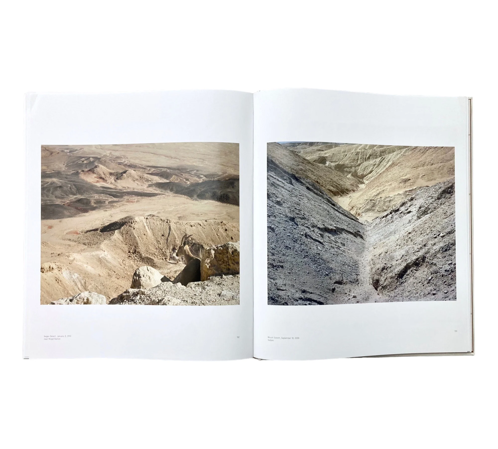 Stephen Shore: From Galilee to the Negev - Image 3