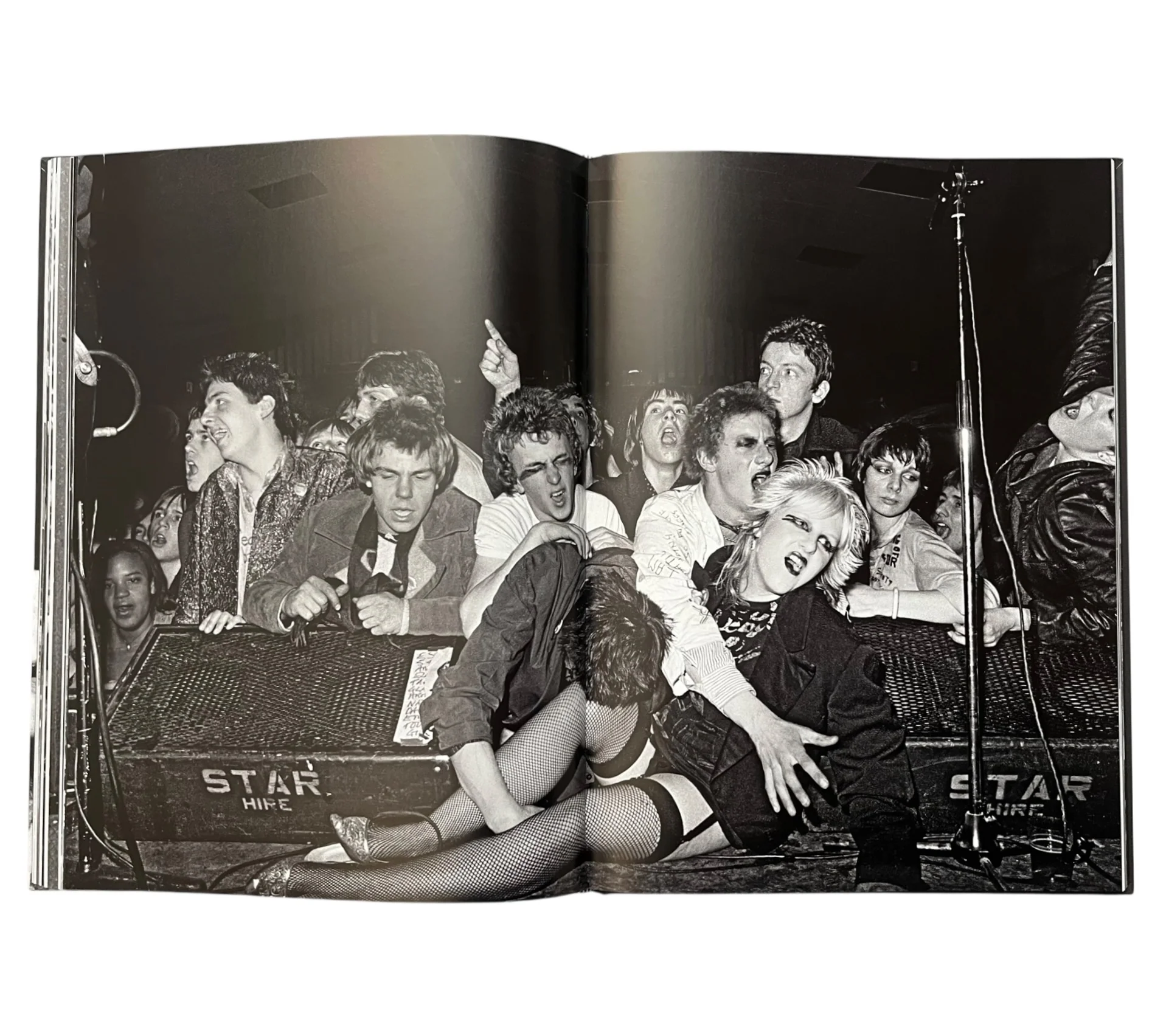 Syd Shelton: Rock Against Racism 1976–1981 - Image 15