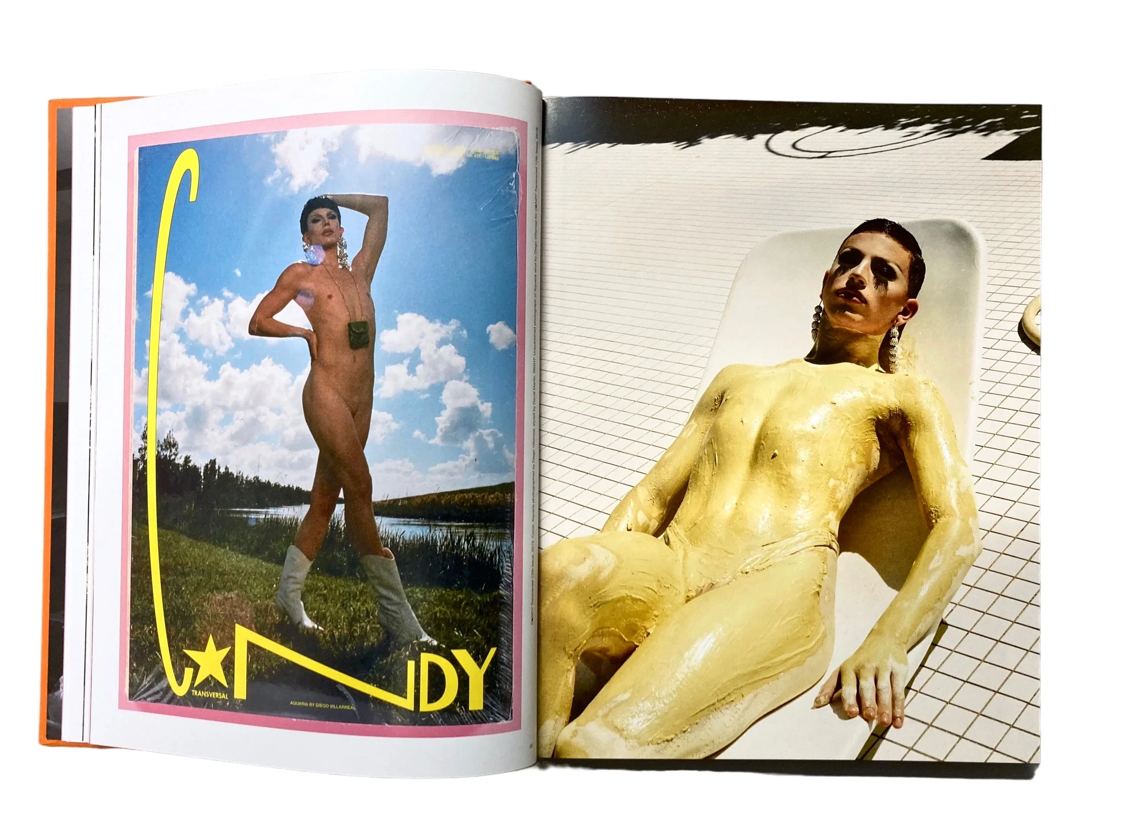 The C*NDY Book of Transversal Creativity: The Best of C*NDY Magazine, Allegedly - Image 8