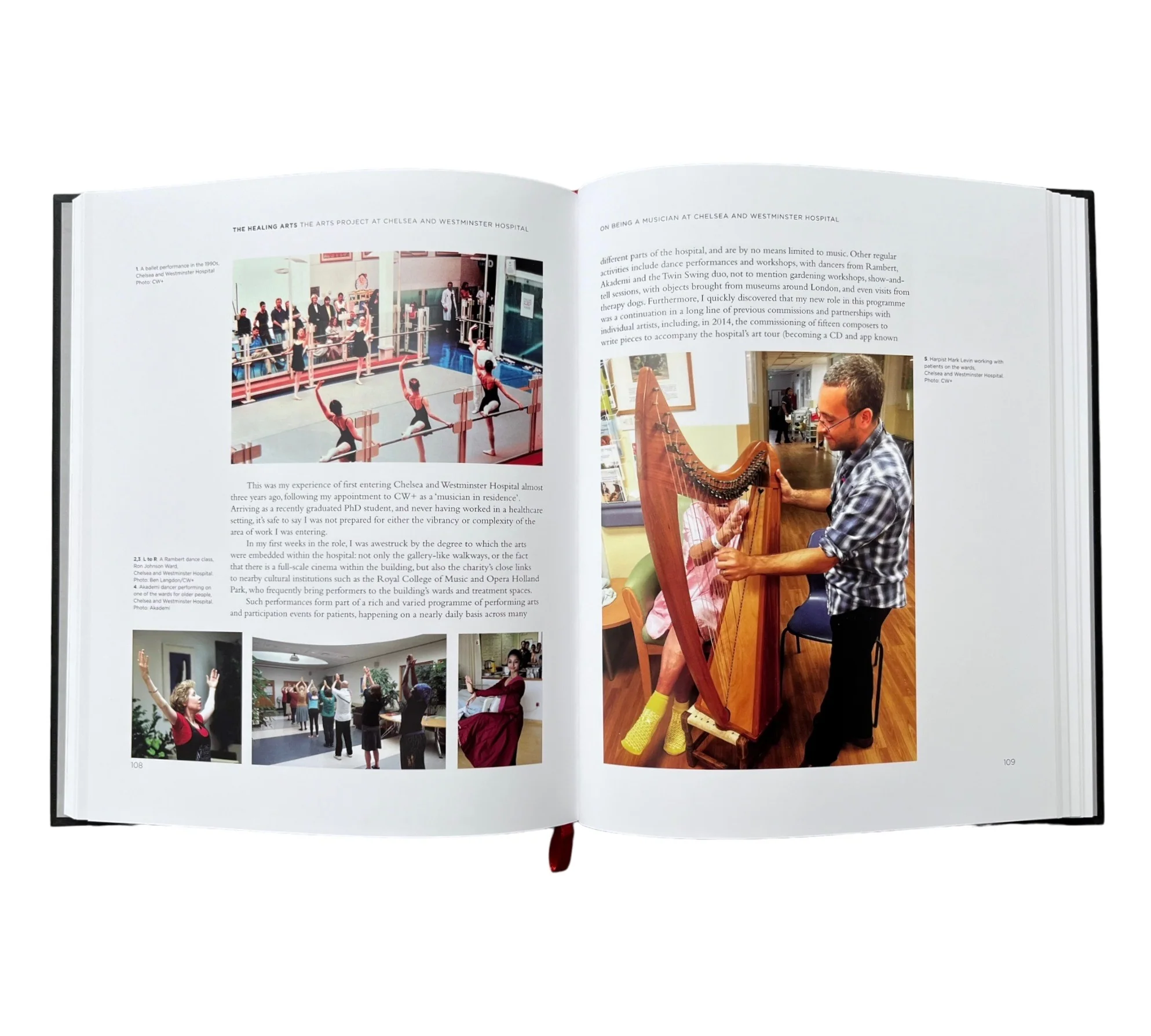 The Healing Arts: The Arts Project at Chelsea and Westminster Hospital - Image 14