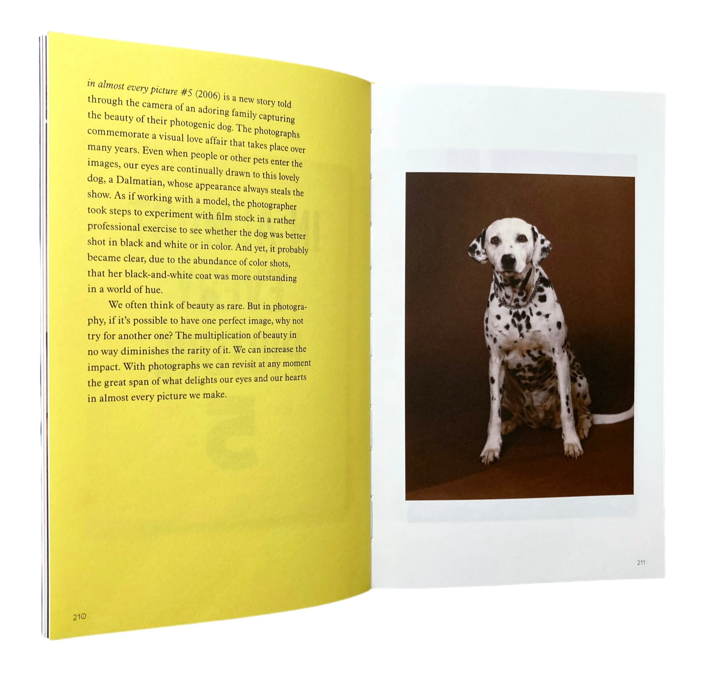 The Many Lives of Erik Kessels - Image 3