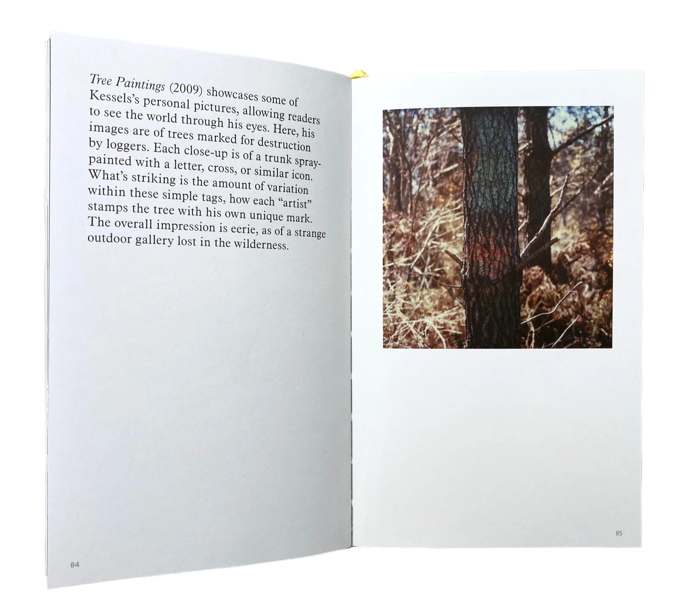 The Many Lives of Erik Kessels - Image 5