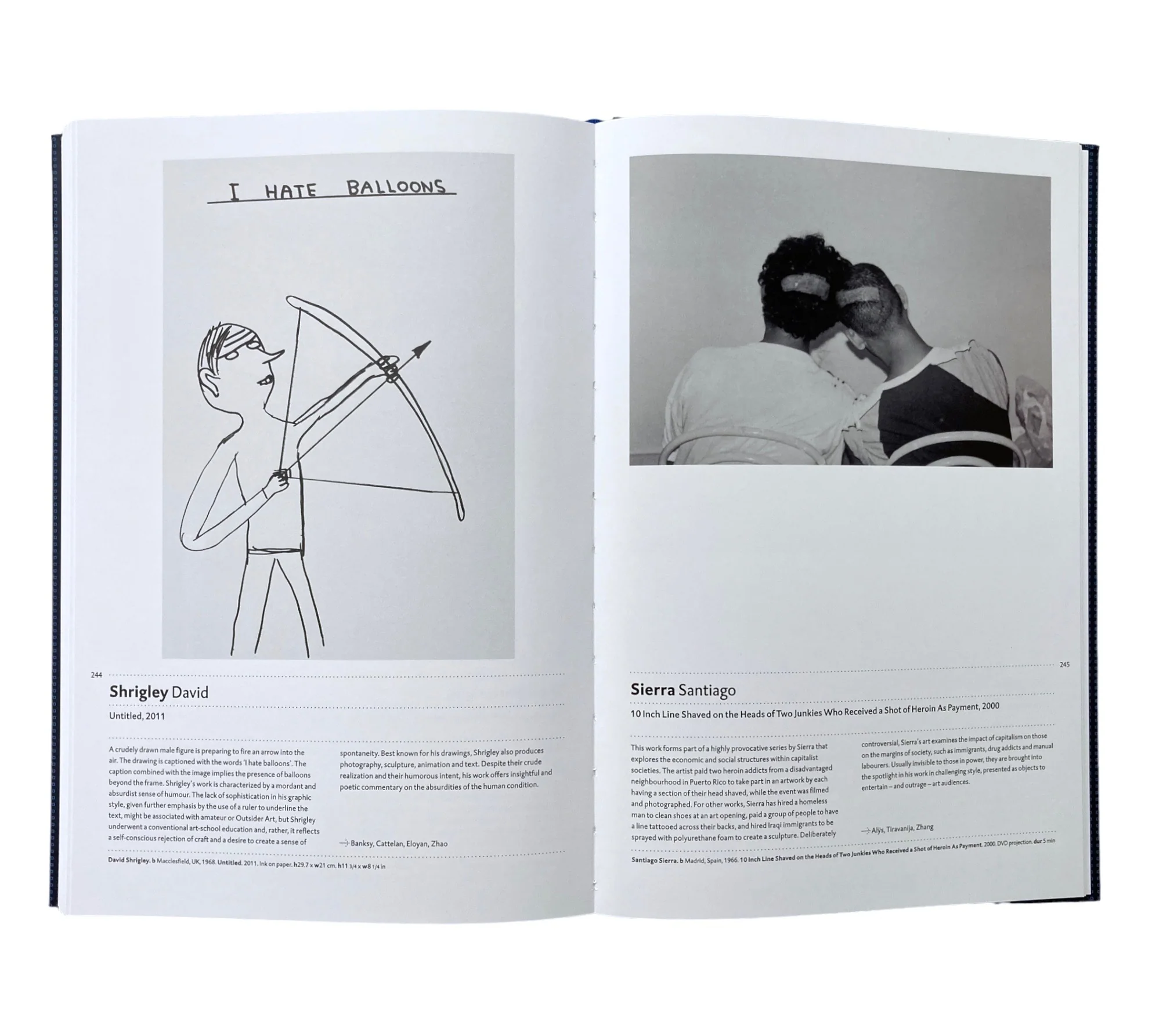 The Twenty First Century Art Book - Image 4