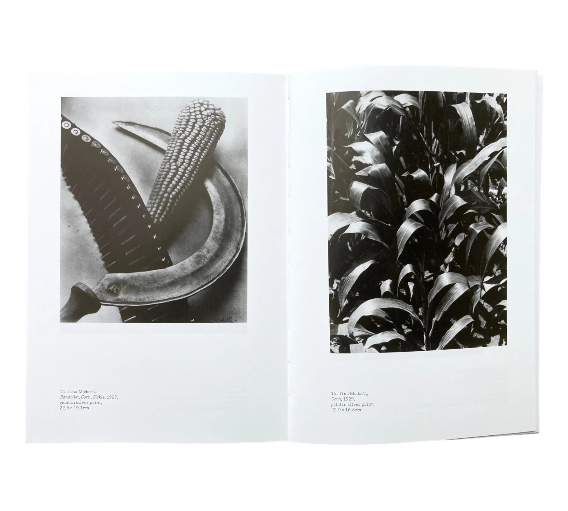 Walker Evans: Kitchen Corner (One Work) - Image 5