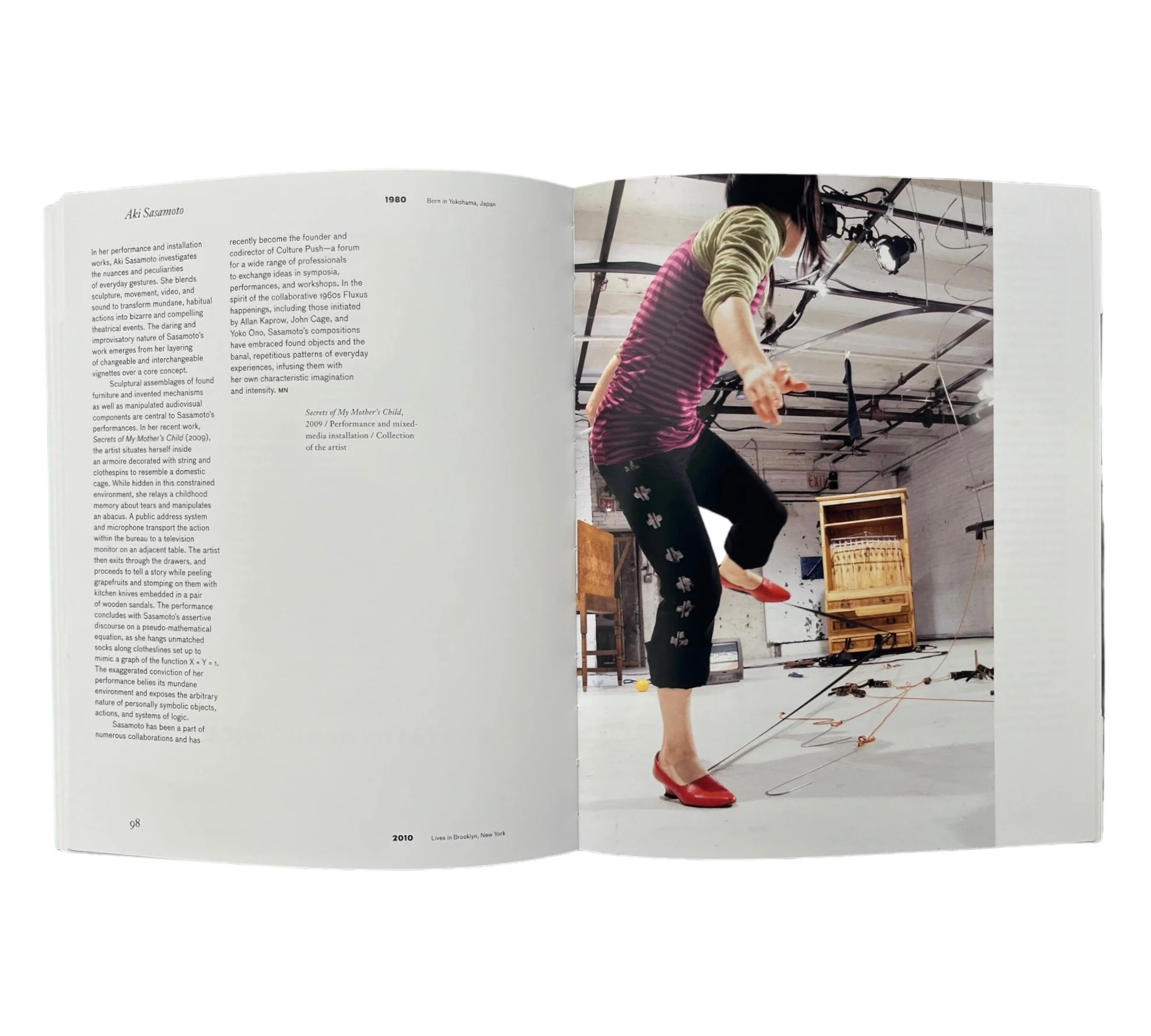 Whitney Biennial 2010 - Image 16